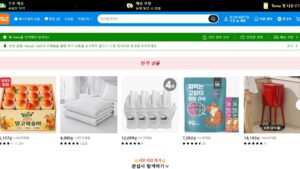 테무 쇼핑몰 — temu.com 첫 화면